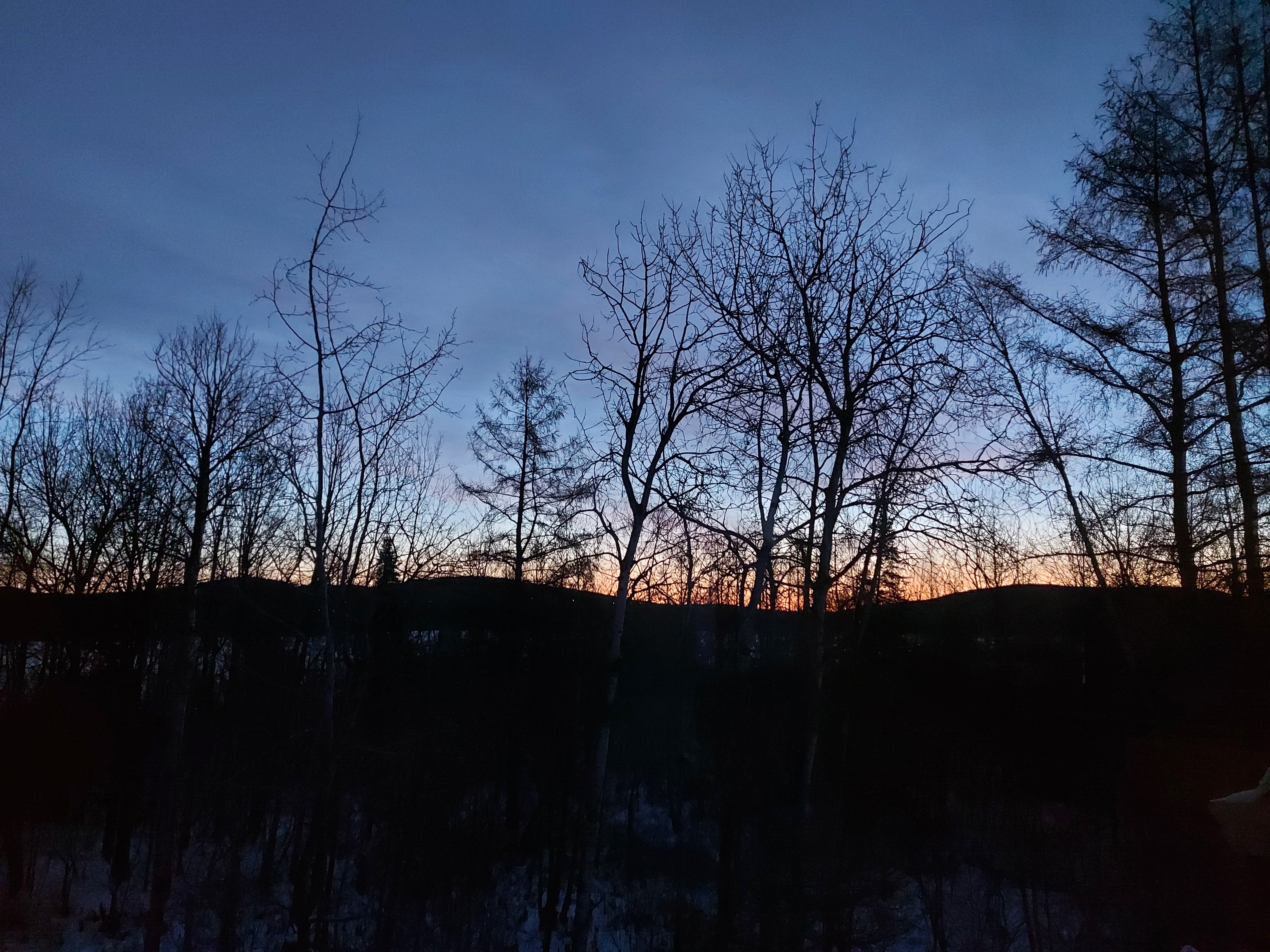 20211204_063453